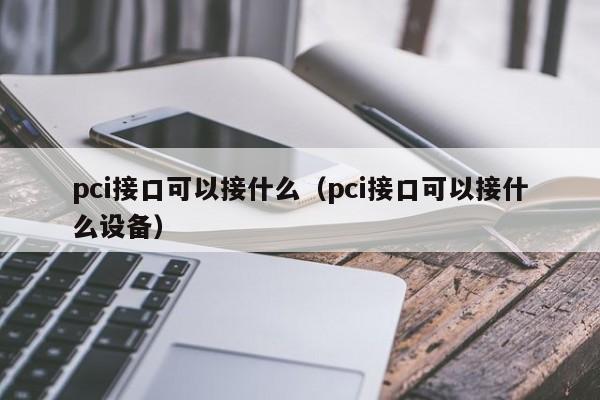 pci接口可以接什么（pci接口可以接什么设备）